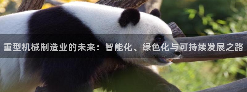 龙八国际app客户端下载安卓