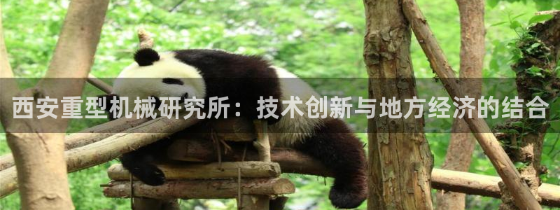 龙八国际app客户端下载手机端