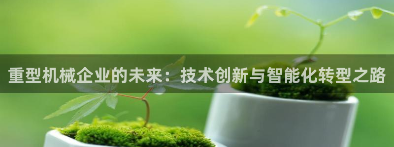 龙八国际贸易有限公司