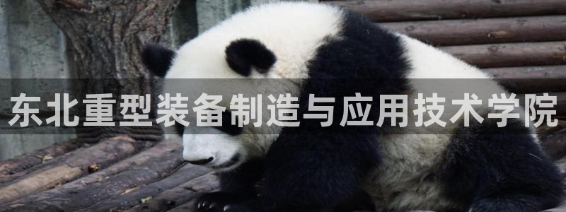 龙八国际苹果下载地址