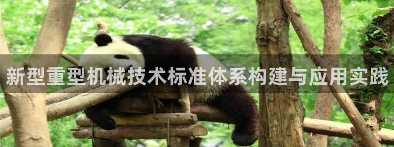 龙八国际网页版