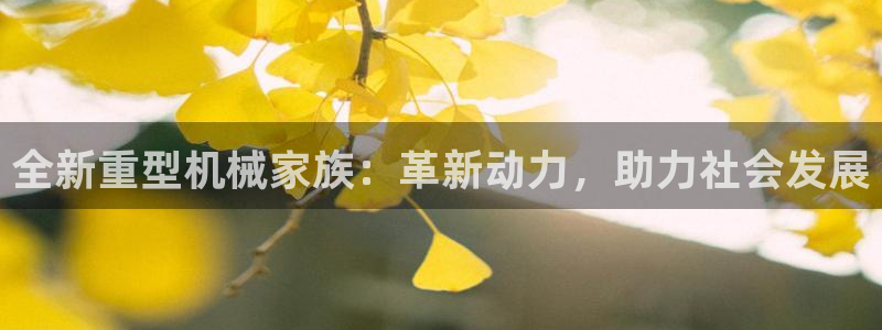 龙八国际在线玩