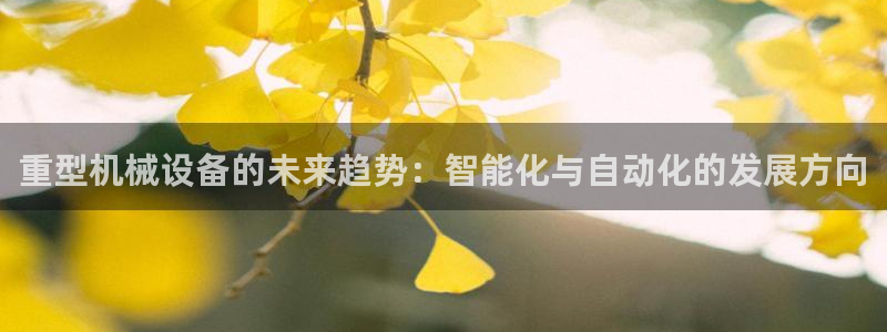 龙八国际手机版下载地址