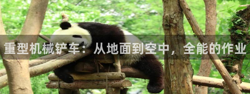 龙八国际手机版下载平台