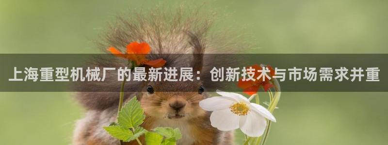 龙八国际app电话号码