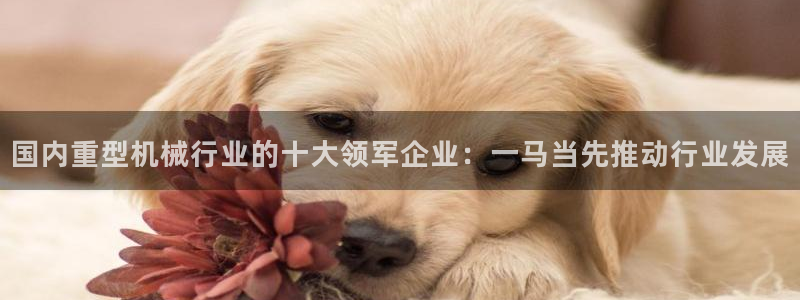 苹果怎么下载龙八国际