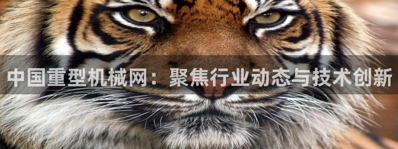 龙八国际app客户端下载安卓