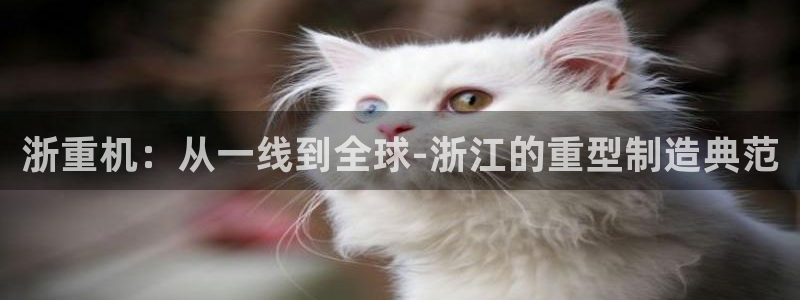 龙八国际花园宝宝