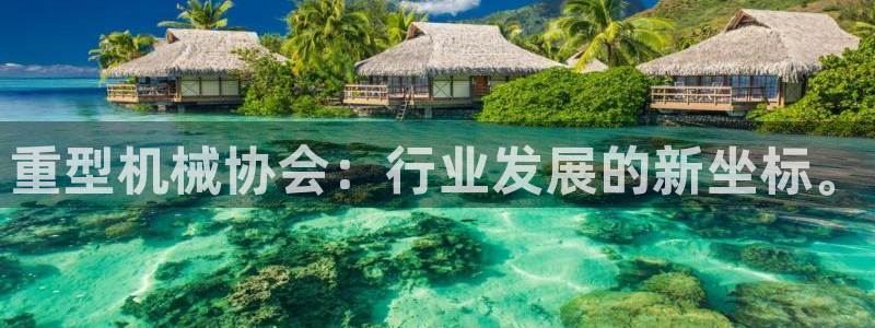 龙八国际游戏视频