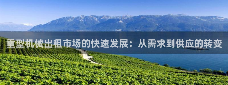 龙八国际不可思议的气球