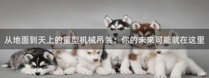 龙八国际官网app下载