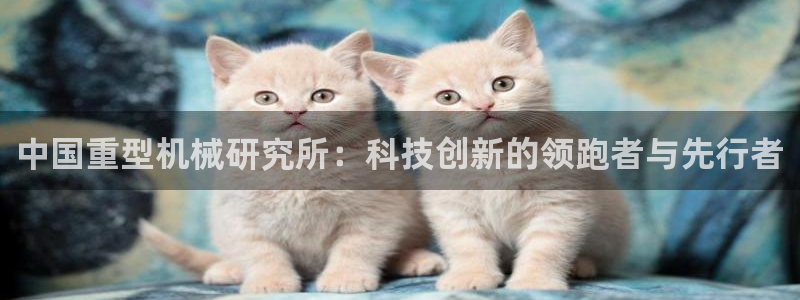 龙八国际娱手机
