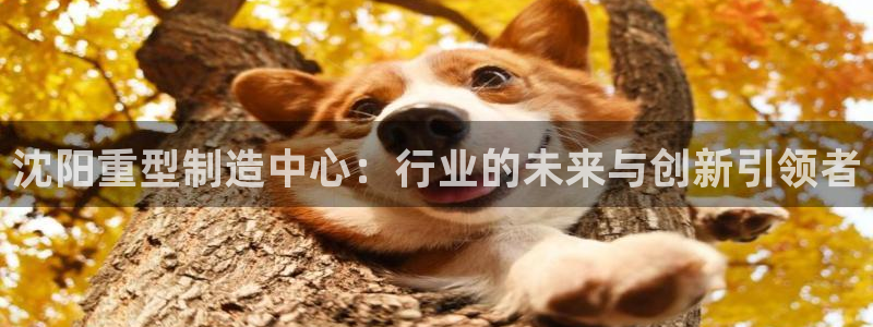 龙八国际网页版本