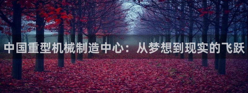龙八国际什么诈骗
