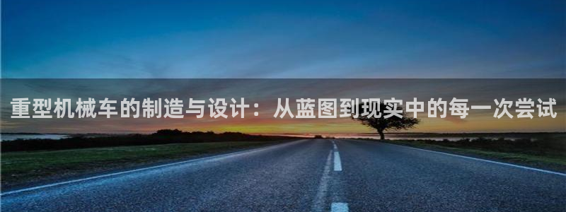 项目名称龙八国际