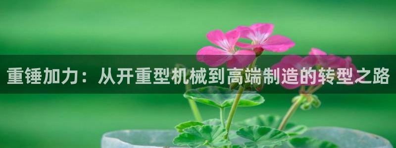 龙八国际公司是真是假