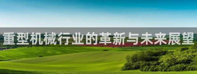 龙八国际app电话