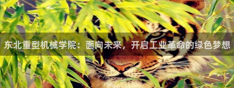 龙八国际音乐