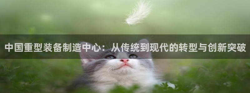 龙八国际苹果版