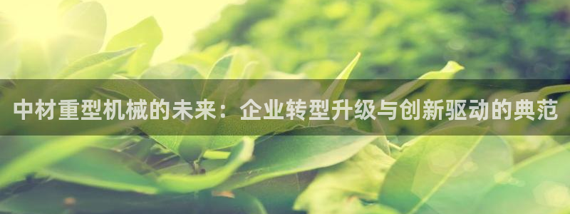下载龙八国际游戏