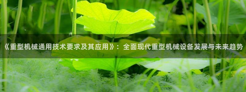 龙八国际手机版下载地址