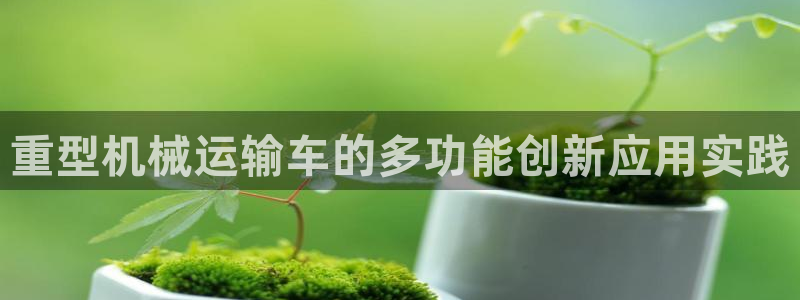 项目名称龙八国际