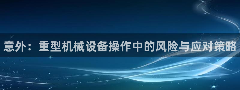 龙八国际有限责任公司