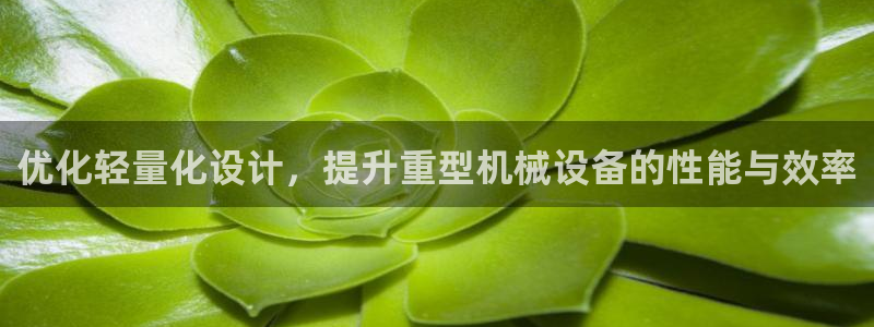 龙八国际娱乐官网