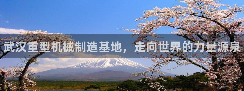 龙八国际官网安卓