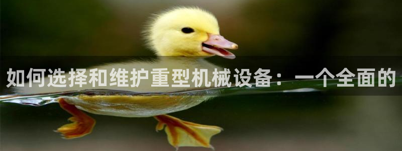 龙八国际游乐城