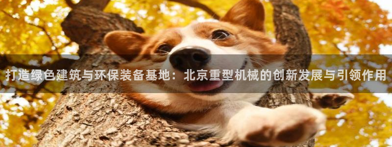 不会玩龙八国际